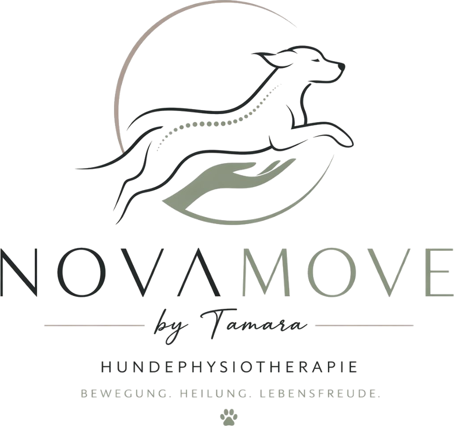 NovaMove by Tamara – Hundephysiotherapie
