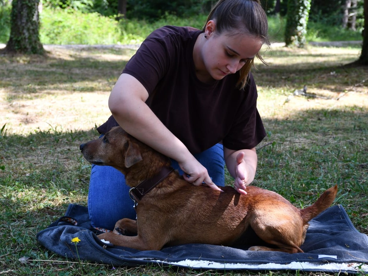 Tamara bei einer Massage-Behandlung